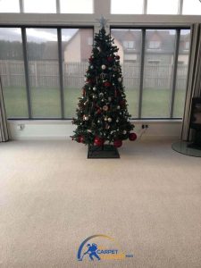 clean carpet with a christmas tree
